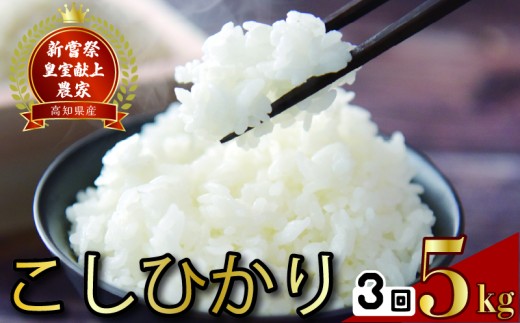 令和7年産 コシヒカリ 白米 3ヵ月連続 定期便 5kg × 3回 15kg