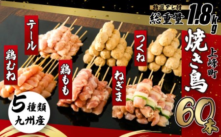 絶品！九州産焼鳥 5種盛合せ 60本（特製焼き鳥のタレ付き）C-627