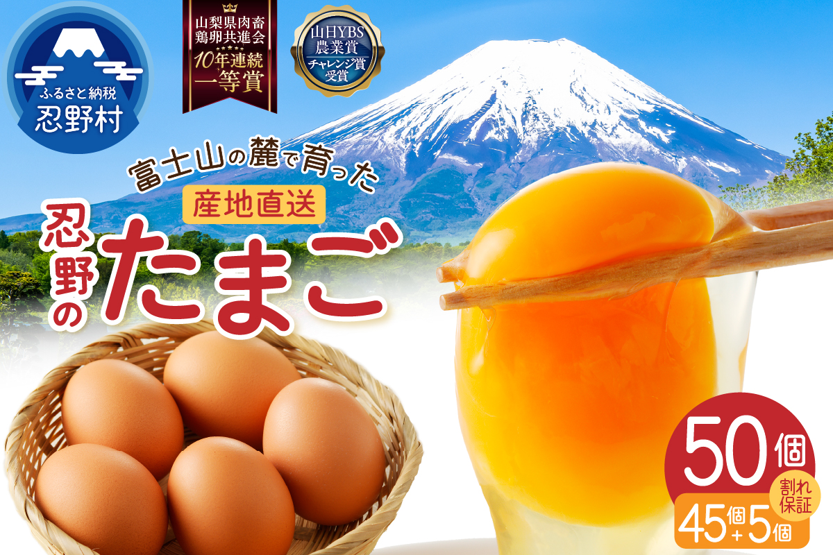 【2月配送分】富士山の麓で育った産地直送 ”忍野の卵”※卵45個+割れ保証5個　計50個