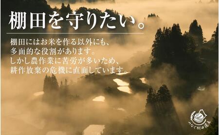 【定期便／全3回】無洗米2kg　令和7年産新潟県十日町市魚沼産コシヒカリ「つなぐ棚田米」 米 こしひかり 無洗米 定期 十日町市