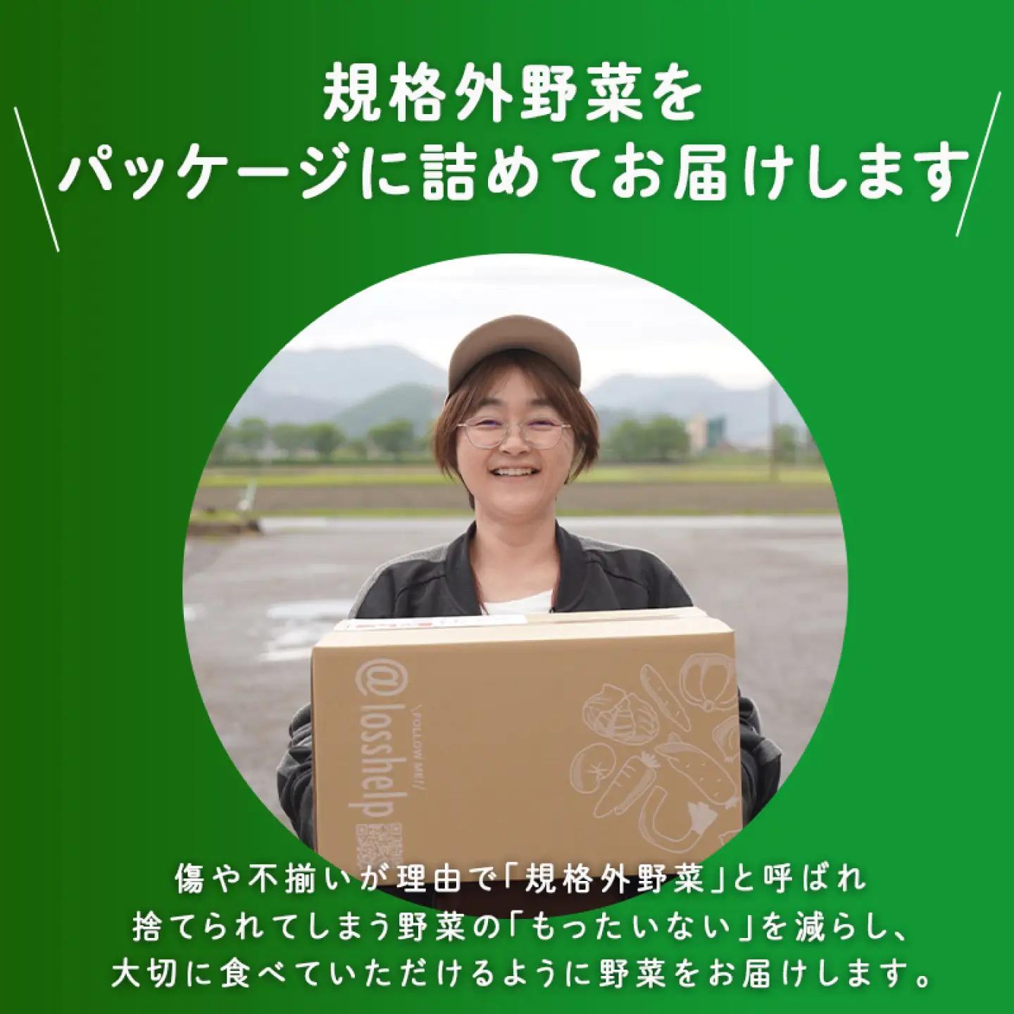 ＜ロスヘル＞多数のメディアで紹介されました！【訳あり】旬のもったいないお野菜詰め合わせセット　Mサイズ　野菜 規格外野菜 