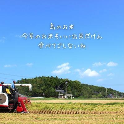 ふるさと納税 海士町 【定期便4ヵ月】計20kg!コシヒカリ・きぬむすめ 5kg×4か月定期便 お米 |  | 02