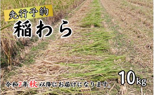 岩美町産コシヒカリの稲わら （長いタイプ）１０kg｜鳥取 岩美 稲わら わら 藁 家庭菜園 先行予約 お届けは令和7年10月～【34004】