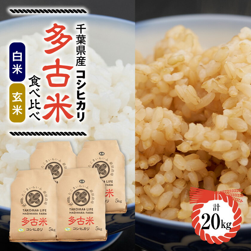 【ふるさと納税】新米【令和7年産】たこまいらいふ萩原農場の多古米コシヒカリ(精米)10kg・(玄米)10kgセット【配送不可地域：離島・沖縄県】【1438053】