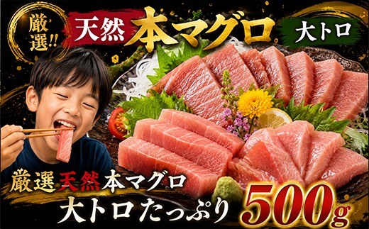 
                  厳選 天然 本まぐろ 大トロ たっぷり 500g 限定 マグロ 鮪おおとろ 本鮪  魚貝 魚 魚介魚 海鮮 刺し身 刺身 さしみ 漬け丼 漬け 海鮮丼 父の日 高知県 室戸市
                