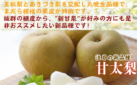Y478 【訳あり】甘太梨 3kg