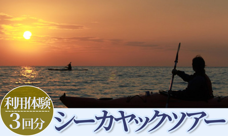 南伊豆シーカヤックツアー　体験3回分  　【 カヤック 】