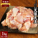 【ふるさと納税】天草大王 バーベキュー用 カット肉 1kg ミックス(もも、むね) 鶏肉 とりもも とりむね 胸肉 国産 九州産 熊本県産 天草 地鶏 BBQ 冷凍 送料無料