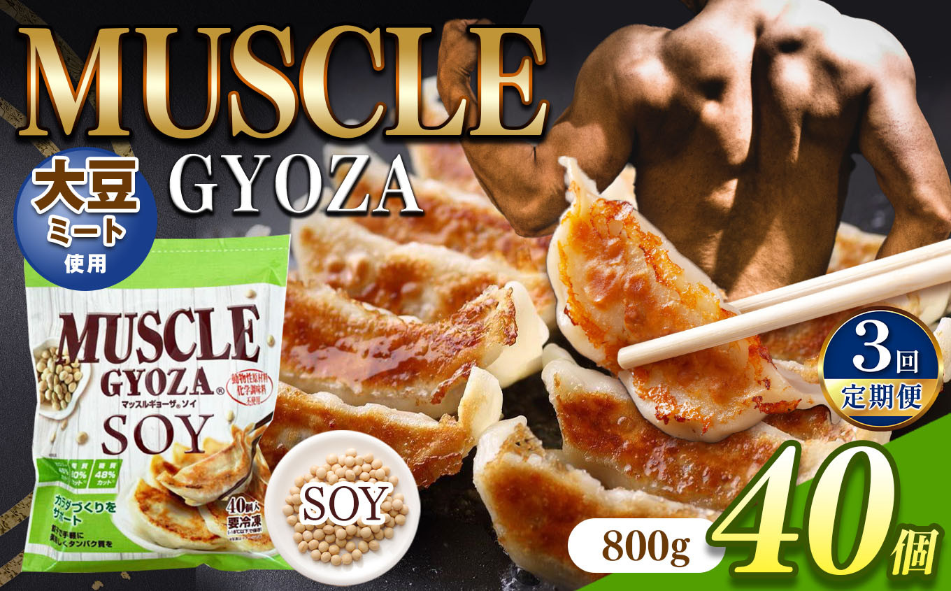 
【定期便3回】MUSCLE GYOZA SOY ～マッスルギョーザソイ～ 冷凍餃子 40個入り 1袋 | 餃子 ギョーザ 高タンパク 低糖質 低脂質 低カロリー マッスルギョーザ 材料 大豆 ミート 長野県 松本市 信州産 ふるさと納税
