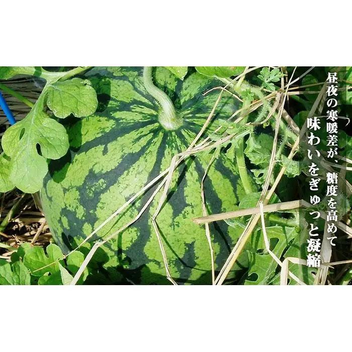 【高級】八色原すいか大玉２玉 | すいか