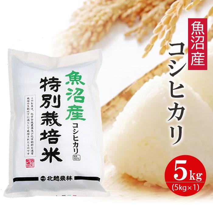 【ふるさと納税】【令和7年産】新潟県魚沼産コシヒカリ 特別栽培米 5kg 白米 精米 | お米 こめ 白米 食品 人気 おすすめ 送料無料