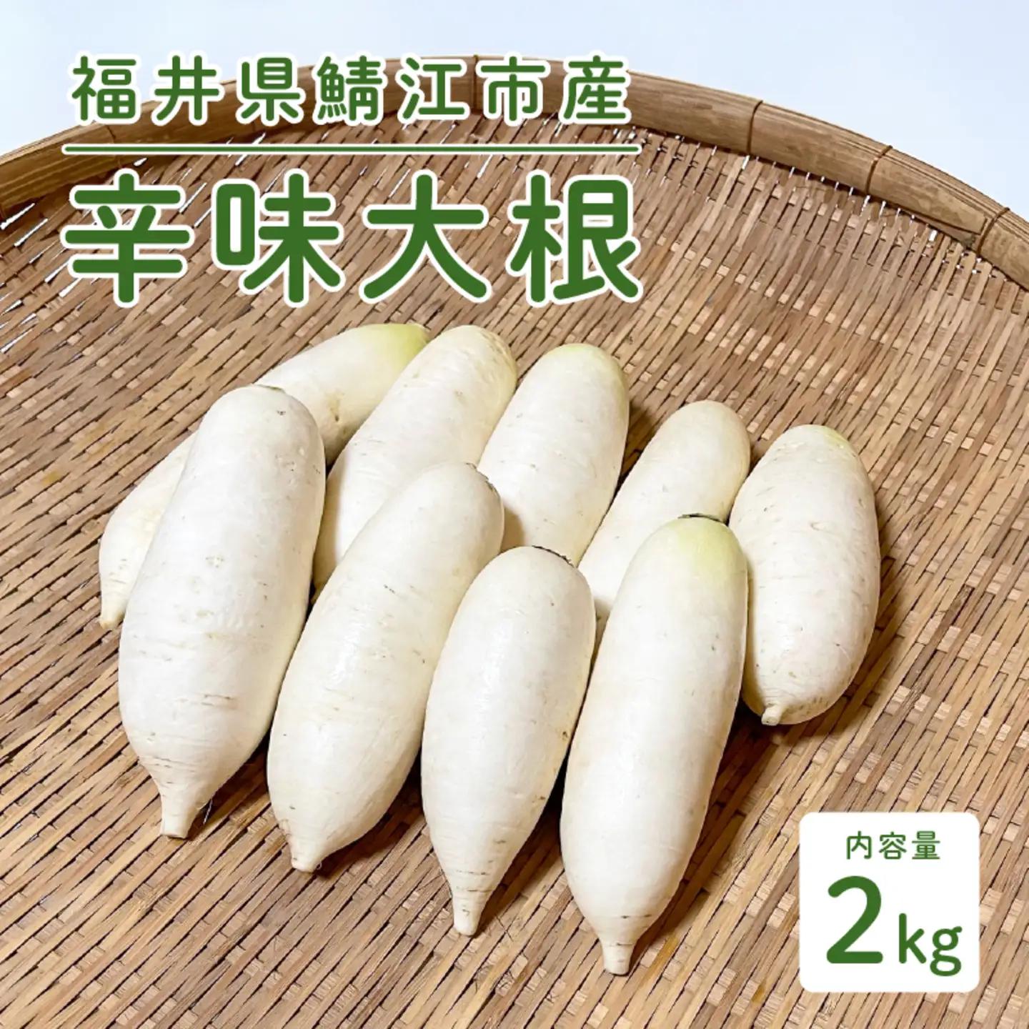 おろしそばに最適! 福井県産 辛味大根 2kg 野菜 特産物