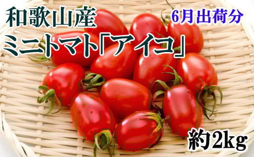 【6月出荷分】和歌山産ミニトマト「アイコトマト」約2kg（S・Mサイズおまかせ）【tec100A-6】
