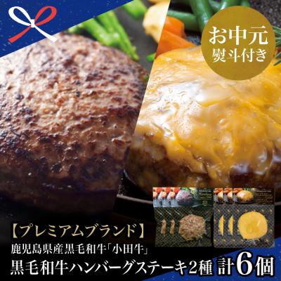 ふるさと納税 南さつま市 【お中元ギフト】鹿児島県産黒毛和牛「小田牛」 牛肉100% 2種類のハンバーグステーキ 計6個