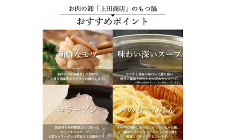 B273.《肉屋厳選“国産牛もつ鍋”》博多もつ鍋セット（醤油）５人前／限定５０個【もつ鍋・醤油味】