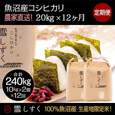 ふるさと納税 十日町市 【毎月定期便】農家直送!魚沼産コシヒカリ【合計240kg】毎月20kg 全12回
