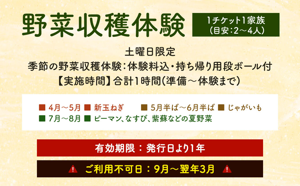 北九州市 野菜収穫体験 1家族(目安：2～4人) 【収穫可能期間 4月～8月 】 野菜 夏野菜 農家 農業体験 休日 体験 畑 収穫 チケット 福岡県 【土曜日限定】