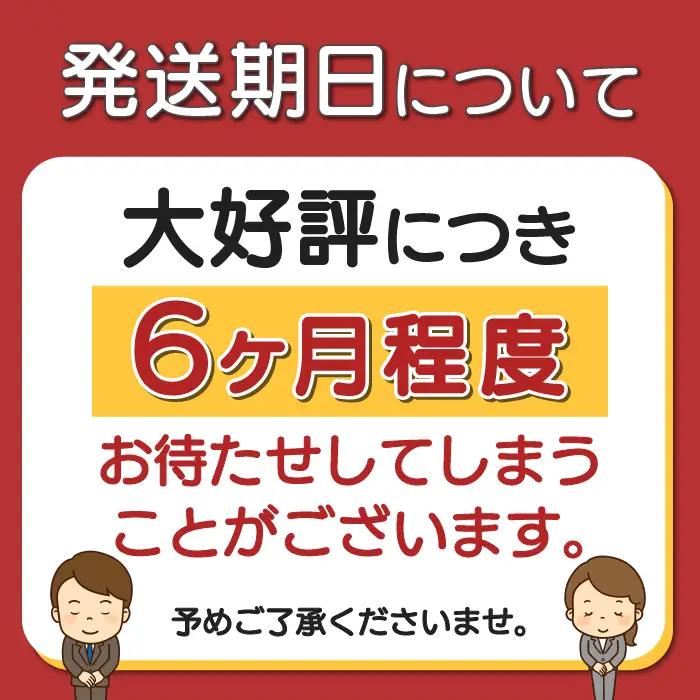 フルーツトマト「トマ糖＊太陽のめぐみ」フルティカ0.5kg　ALPBI007