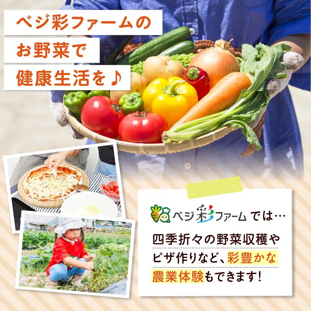 【全3回定期便】 米ぬかで育てた！旬のお野菜＆平飼い卵セット ベジ彩ファーム[AOEJ005] 野菜