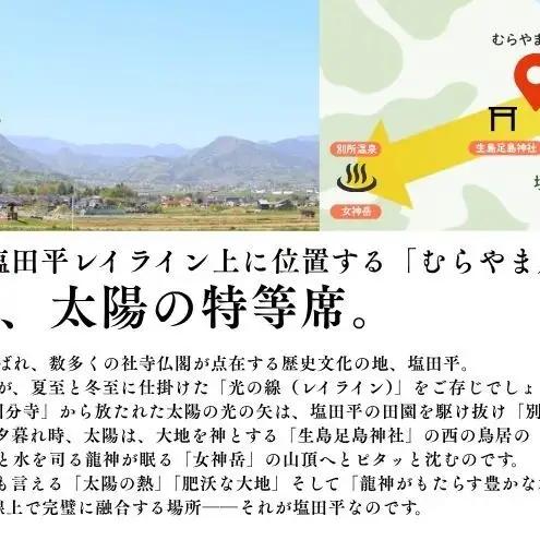 こしひかり 3kg 米 塩田平 こしひかり 