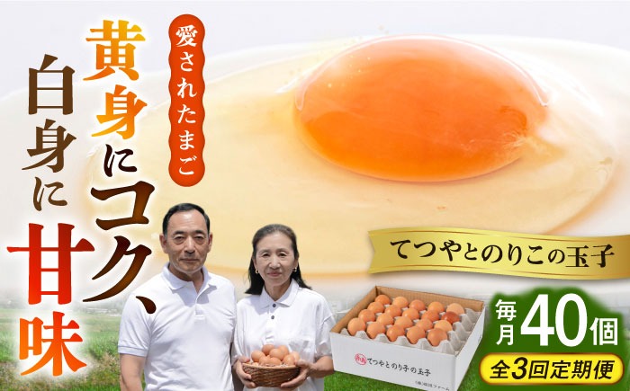 【全3回定期便】てつやとのりこの玉子 【 40個 】 糸島市 / 板垣ファーム 卵 たまご 鶏卵[AWD020]