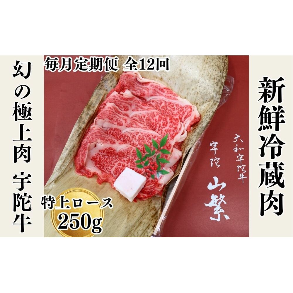 毎月定期便全12回 名産 認定肉 宇陀牛 国産 黒毛和牛 特上 ロース すき焼き 約250g / 山繁 ふるさと納税 牛肉 牛丼 しゃぶしゃぶ人気 寄付 ランキング おすすめ グルメ 肉 返礼品 送料
