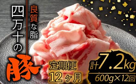 【全12回】豚肉定期便 切り落とし 計7.2kg（600g×12ヶ月)スライススライススライススライススライス