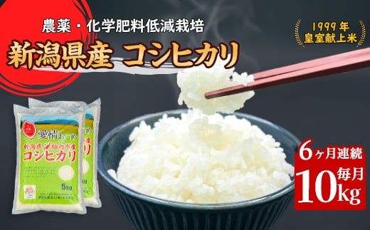 16-K106【6ヶ月連続お届け】新潟県胎内市産コシヒカリ10kg（5kg×2袋）