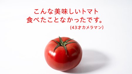 【2024年2月上旬発送開始】スーパーフルーツトマト 小箱 約800g（7～13玉）×1箱 糖度9度以上 スーパーフルーツ トマト とまと 野菜 [BC068sa]