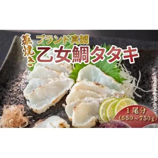 【須崎のブランド鯛】 乙女鯛 わら焼き タタキ 1尾分 ( 550 ～ 750g ) 
