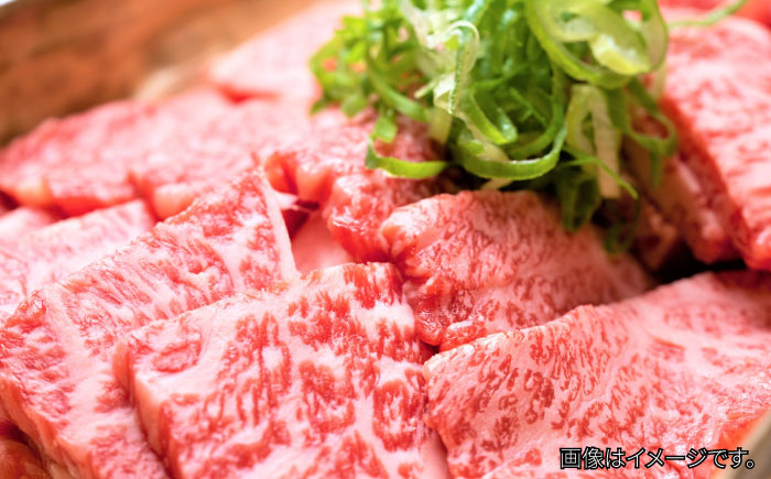 【訳あり】博多和牛 焼肉 切り落とし 500g＜株式会社MEAT PLUS＞那珂川市 [GBW117]