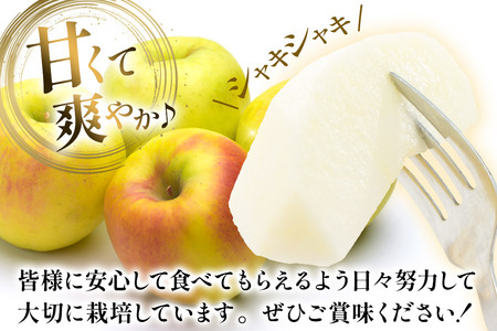 【25年11月～発送】りんご 名月 約3kg カワムラファーム 贈答用【先行受付】 青森 果物 フルーツ 林檎 リンゴ くだもの 予約