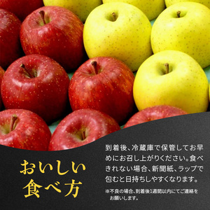 りんご 【 数量限定 】1～3月発送 糖度13度以上 極上雪プレミアム サンふじ 大玉 約 5kg 13～16個入り【 弘前市産 青森りんご 】