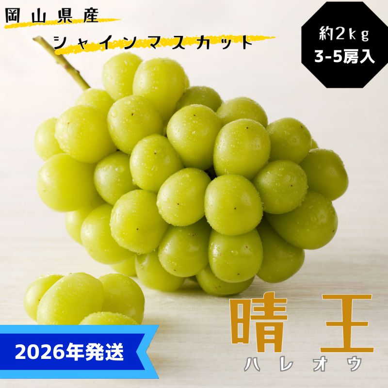 【2026年先行受付】 シャインマスカット 晴王 ハウス栽培 約2kg(3～5房目安) 岡山県産 ぶどう 葡萄 ブドウ 御中元 ギフト 御礼 プレゼント 御礼 御祝 御供 果物 くだもの フルーツ