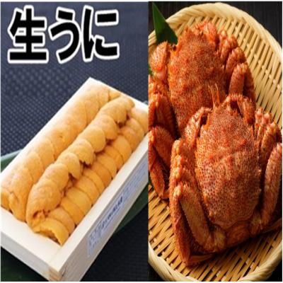 ふるさと納税 根室市 エゾバフンウニ100g×1折、毛ガニ2尾[11月中旬以降発送] D-71063