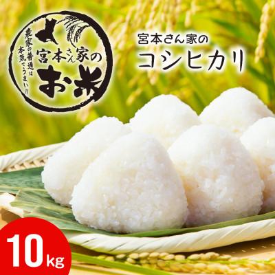 ふるさと納税 稲敷市 〈令和7年産〉茨城県稲敷市産コシヒカリ 精米10kg