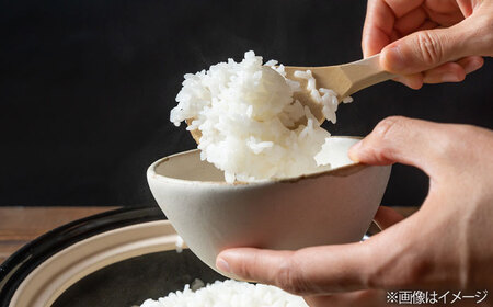 【全6回定期便】農薬を使わずに育てた 山つき 3kg 夢つくし 吉富町/(株)やました[BGBX011]