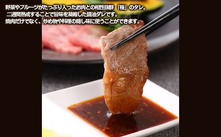 "やたら売れてる"焼肉屋の山形牛入りハンバーグ(120g×5)と万能熟成生醤油ダレ(1本)セット FZ25-942