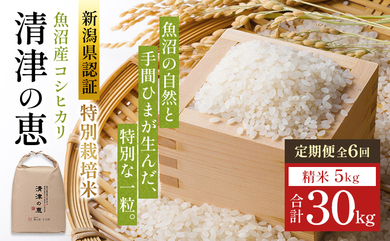 【令和8年産 先行予約】〈定期便〉魚沼産特別栽培米コシヒカリ［清津の恵］精米5kg全6回