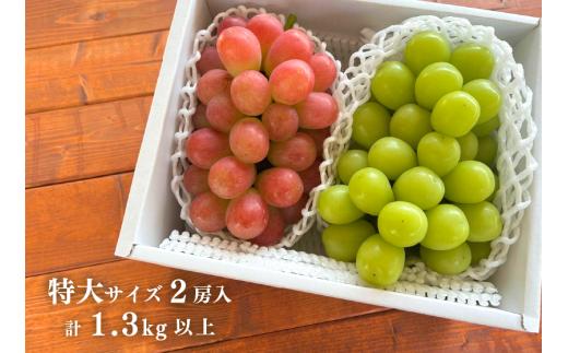 【2026年先行予約】シャインマスカット＆おまかせ葡萄 特大２房入 /計1.3kg~ (岡山県産) 【KF-B022-02】