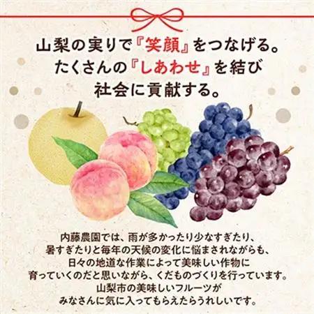 やまなし内藤農園の【訳あり】シャインマスカット 5kg【配送不可地域：離島】【1513206】