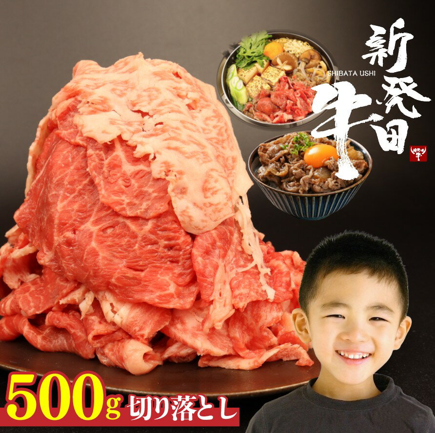【ふるさと納税】 牛肉 切り落とし 500g 肉 和牛 霜降り 黒毛和牛 ブランド牛 新発田牛 にいがた和牛 しゃぶしゃぶ 小間切れ 新潟県 新発田市 新潟 新発田 アルビレックス アルビレックス新潟 近江牛 神戸牛 松阪牛 米沢牛 三大和牛 に負けない えのもとミート enomoto001