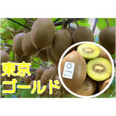ふるさと納税 春日部市 『11月限定』東京ゴールドと香緑の2種詰め合わせ27玉入り【春日部市】大晴農園のキウイフルーツ