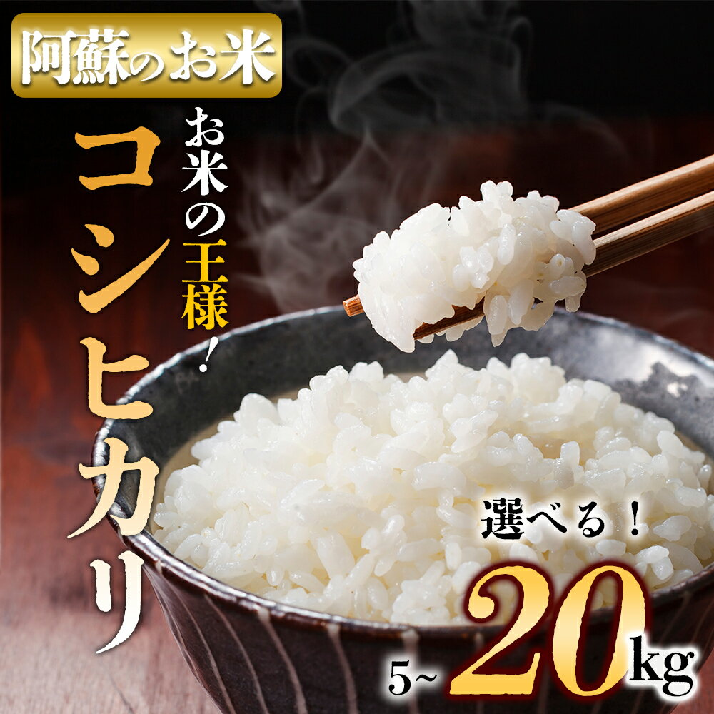 【ふるさと納税】お米 米 コシヒカリ 令和6年 ふるさと納税 令和6年度 選べる 5kg 10kg 15kg 20kg 白米 こめ おこめ 阿蘇米 米 お米 美味しい 寒暖差 湧き水 お取り寄せ 食卓 豪華 贅沢 自然 湧水 熊本県 阿蘇市