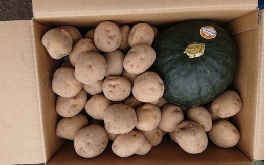 【2025年9月下旬より発送】栗マロンかぼちゃ１個とキタアカリのセット　約10ｋｇ【Ｍサイズ】 【 ふるさと納税 人気 おすすめ ランキング 野菜 セット かぼちゃ カボチャ 南瓜 じゃがいも ジャガイモ キタアカリ 北海道 厚沢部 送料無料 】 ASO043