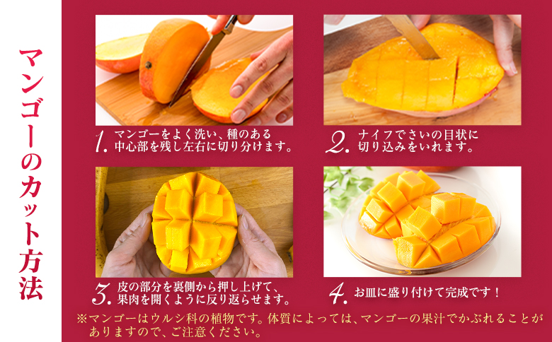 宮崎特産「完熟マンゴー2L×2玉」お届け定期便（全4回）計8玉 特産 国産 果物 フルーツ 旬 産地直送【F143-27】