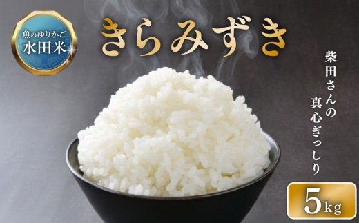 【 令和7年産 】  きらみずき 5kg 白米 米 コメ お米 ひこにゃん米 環境こだわり栽培 ご飯 ごはん 5kg 令和7年 7年 5 順次発送 滋賀 彦根