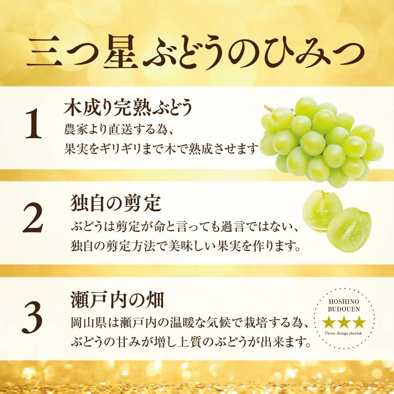 先行受付【訳あり】星乃シャインマスカット 1.3kg 2房～4房【配送不可地域：離島・北海道・沖縄県】【1554831】
