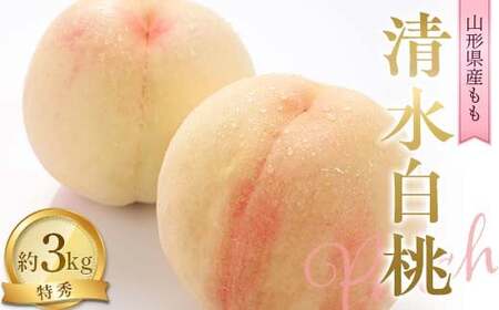 【令和8年産先行予約】 もも「清水白桃」 約3kg (11～15玉 特秀) 《令和8年8月中旬～発送》 『NOWAフルーツ』 モモ 果物 フルーツ 山形南陽産 山形県 南陽市 [2246-R8]