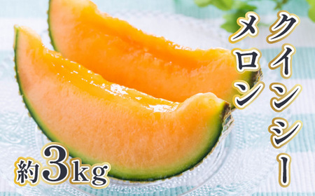 【先行予約】 クインシーメロン 約3kg メロン めろん くいんしー 赤肉 フルーツ くだもの 熊本 九州産 青肉 人気 おすすめ 甘い 濃厚 高糖度 家庭用 自宅用 産地直送 国産 くまふる 【20